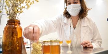 Un foro para hablar de la miel y su futuro productivo en UTEC