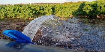 La agricultura consume el 70% del agua dulce del mundo: el agua bajo la lupa de UTEC