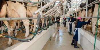 Empresas del sector lácteo se unen a la academia y gobierno en la construcción de los Grupos de Investigación Estratégica de UTEC