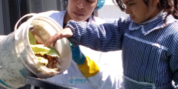 Una escuela en Carlos Reyles logró generar energía con los residuos de la cocina con el apoyo de UPM y UTEC